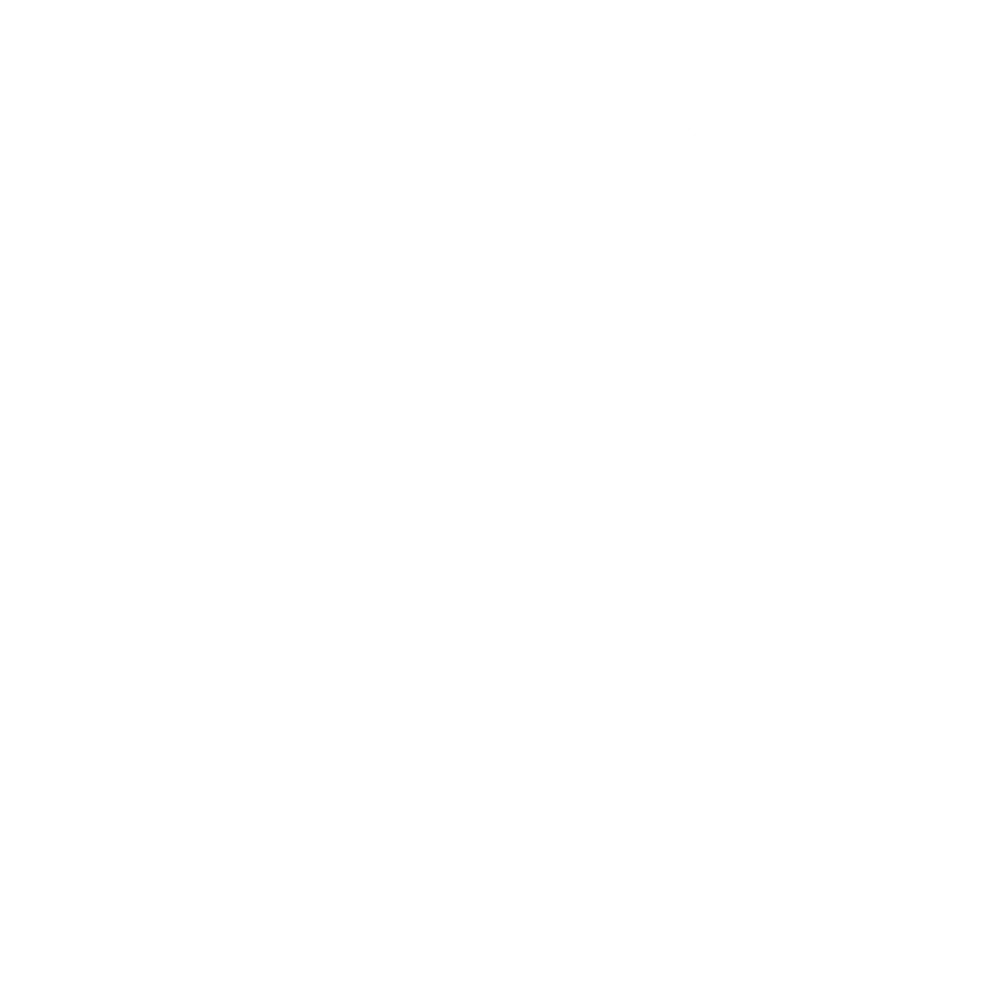 repl icon